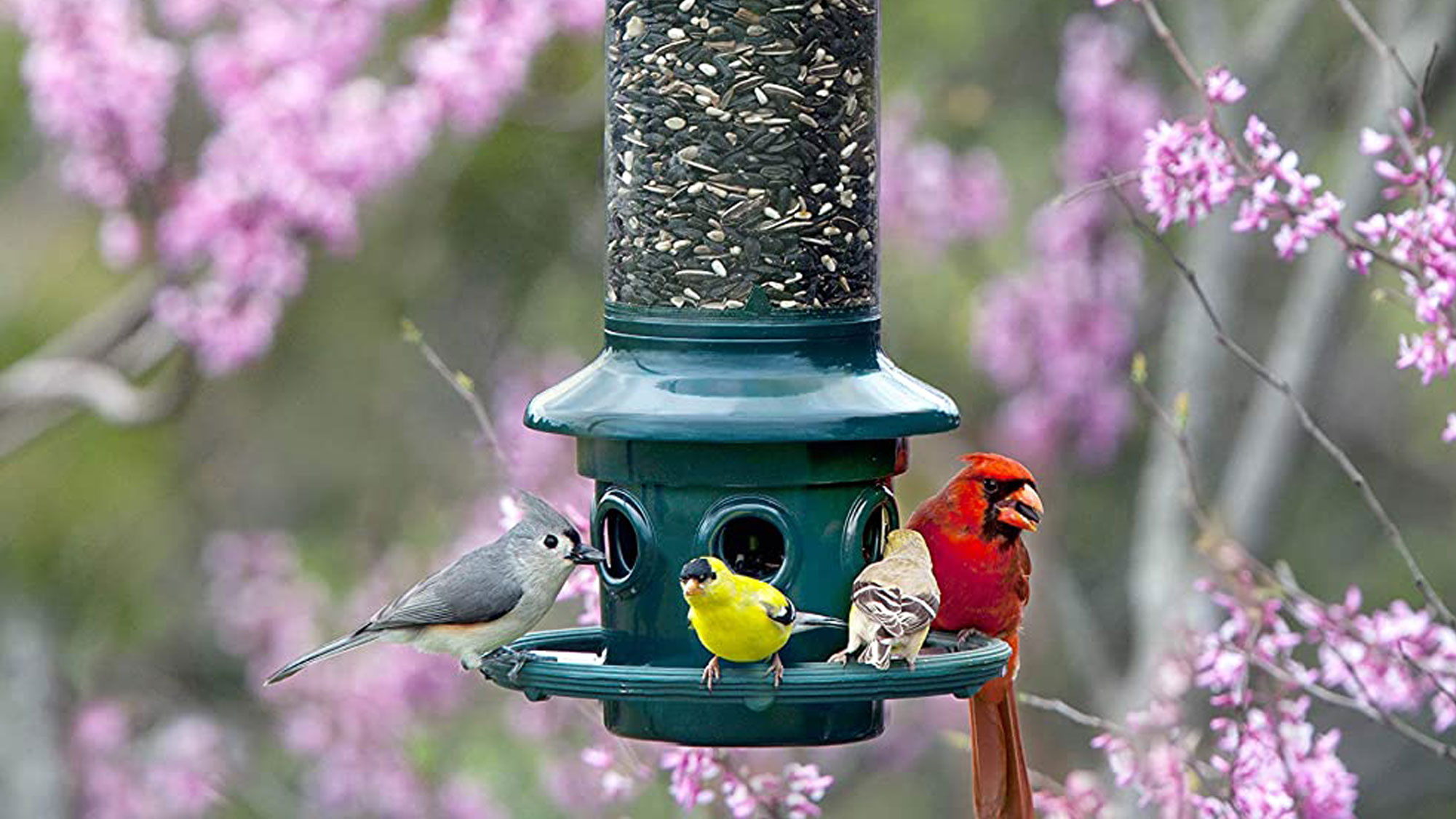 DÉMONTER LA MANGEOIRE À OISEAUX